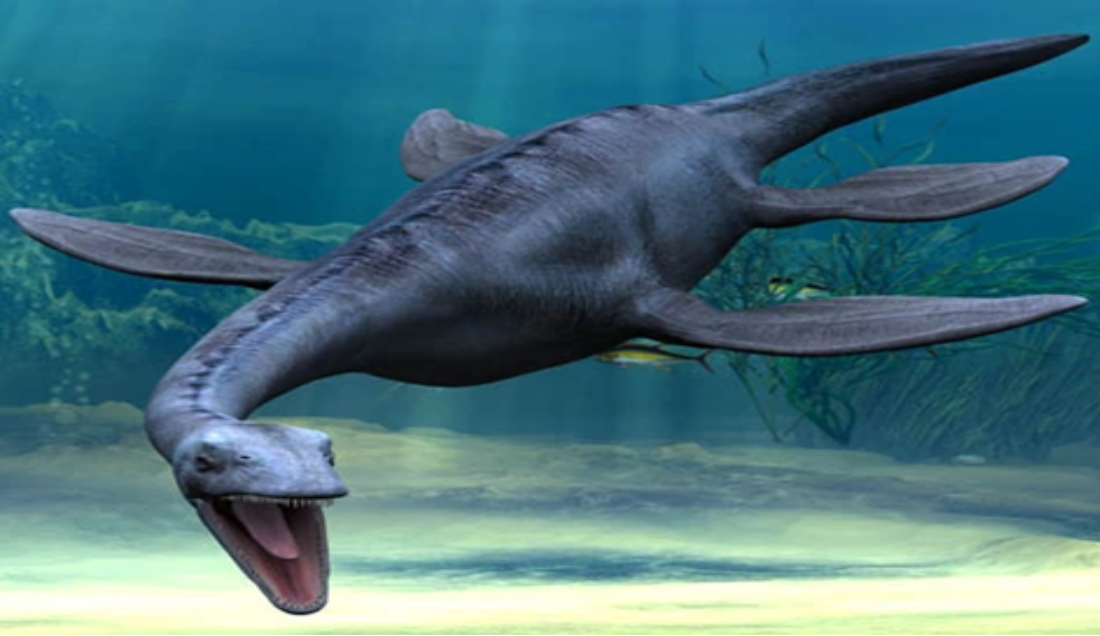 פלסיוזאור (זוחל ימי נכחד) תמונה