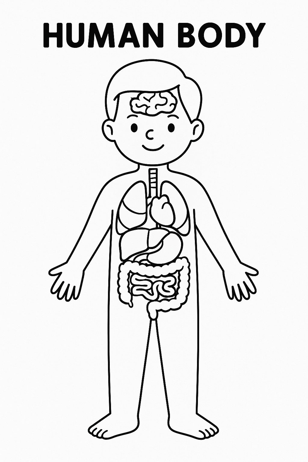 Human Body Coloring סמל